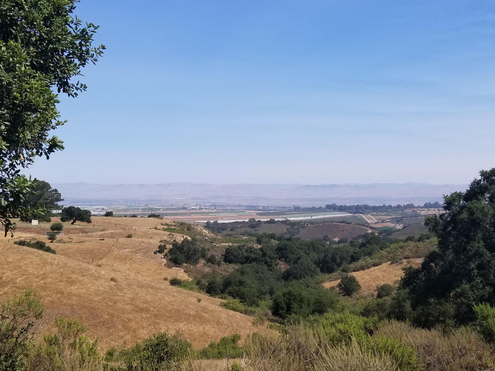 Kayla Cardoza - Santa Maria Valley.jpg